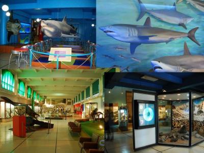 Visitamos el Museo de Ciencias Naturales